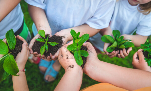 Nachhaltiges Bauen für die nächsten Generationen