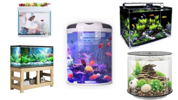 Aquarien