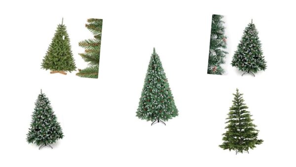 Weihnachtsbäume