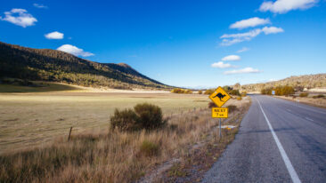 Umzug nach Australien