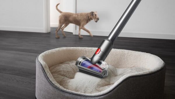 Der V15 Detect Absolute ist dank des praktischen Zubehörs auch für Haushalte mit Hunden und Katzen bestens geeignet.