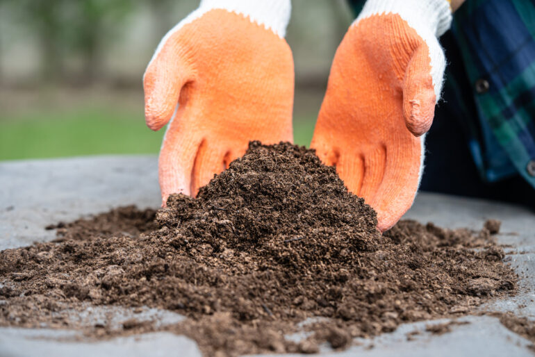 Kosten für Mutterboden im Check: So viel zahlen Sie wirklich für den perfekten Gartenboden