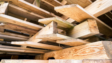 Behandeltes Holz entsorgen: So setzen sich die Kosten zusammen!