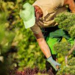 Garten das ganze Jahr optimal nutzen und gestalten