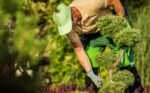 Optimierung der Gartennutzung: den Garten das ganze Jahr über nutzen und gestalten
