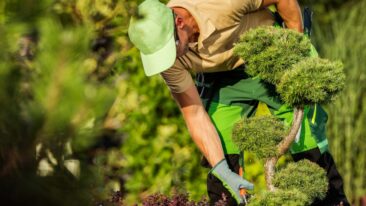 Optimierung der Gartennutzung: den Garten das ganze Jahr über nutzen und gestalten