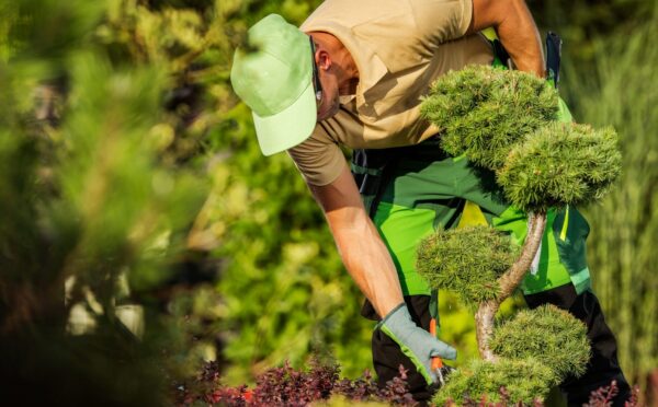 Garten das ganze Jahr optimal nutzen und gestalten