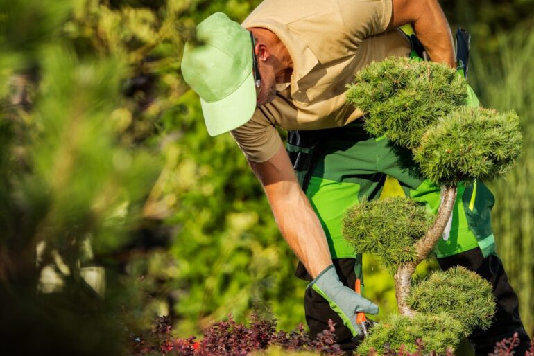 Optimierung der Gartennutzung: den Garten das ganze Jahr über nutzen und gestalten