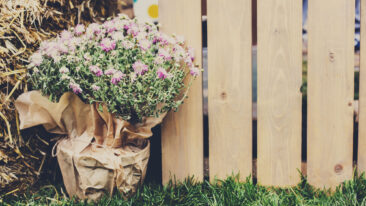 Das perfekte Holz für den Gartenzaun: Welches Holz trotzt Wind und Wetter?