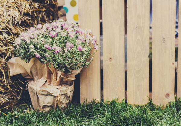 Das perfekte Holz für den Gartenzaun: Welches Holz trotzt Wind und Wetter?