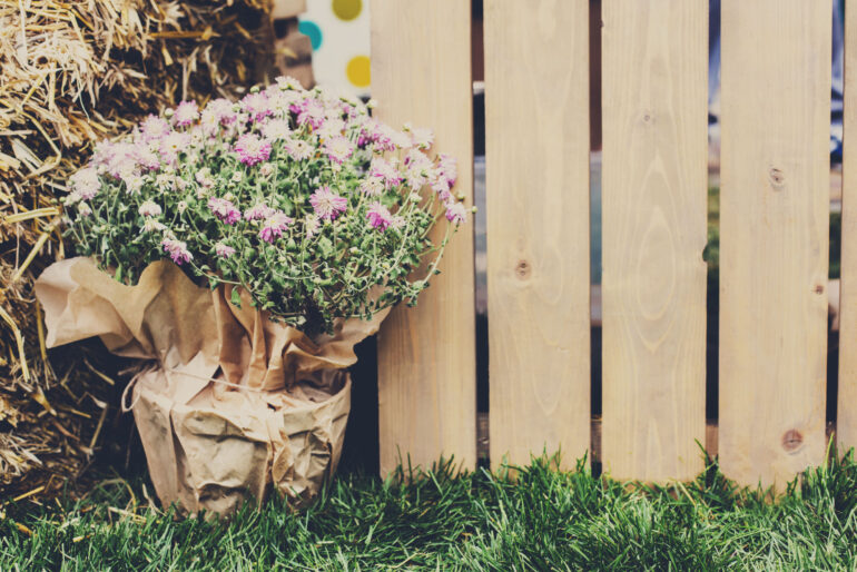 Das perfekte Holz für den Gartenzaun: Welches Holz trotzt Wind und Wetter?