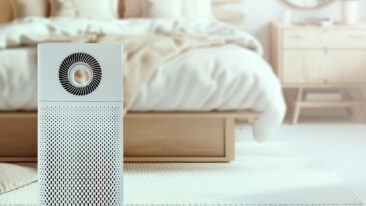 Sauberere Luft, gesünderes Leben: Die Kosten für eine Ozonbehandlung in Ihrer Wohnung