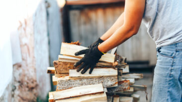 Leicht aber effektiv: Entdecken Sie Pappelholz als Brennholz