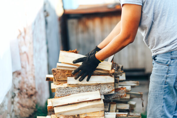 Pappelholz als Brennholz