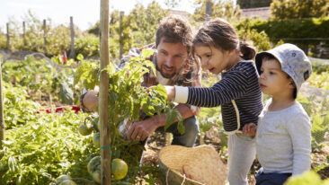 Der Traum vom Schrebergarten: Wie viel kostet er wirklich?