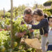 Der Traum vom Schrebergarten: Wie viel kostet er wirklich?