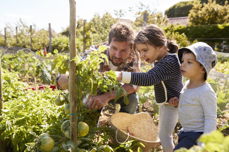 Der Traum vom Schrebergarten: Wie viel kostet er wirklich?